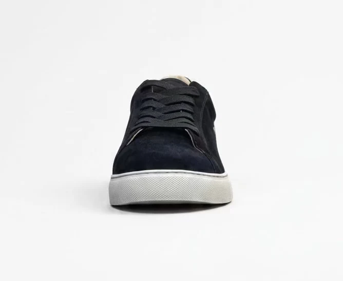 XVI Sideline - Image 1